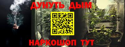 индика Камышлов