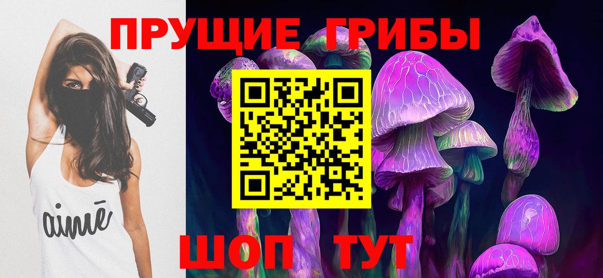 Тулун  где продают наркотики  Вход с VPN  Галлюциногенные грибы GOLDEN TEACHER 